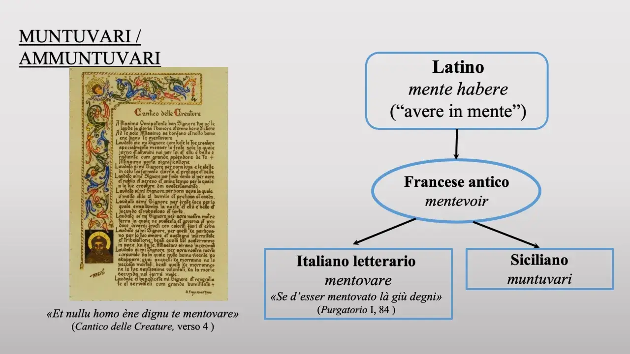 Il Cantico delle Creature di San Francesco, con la frase "Et nullu homo ène dignu te mentovare", mostra l'evoluzione del verbo "mentovare" dal latino al siciliano, passando per il francese antico e l'italiano letterario.