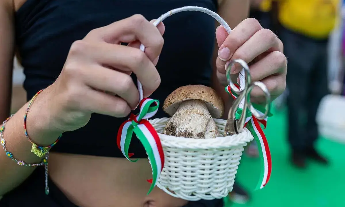 Cesto con fungo porcino decorato con nastri tricolore, simbolo di una sagra culinaria.