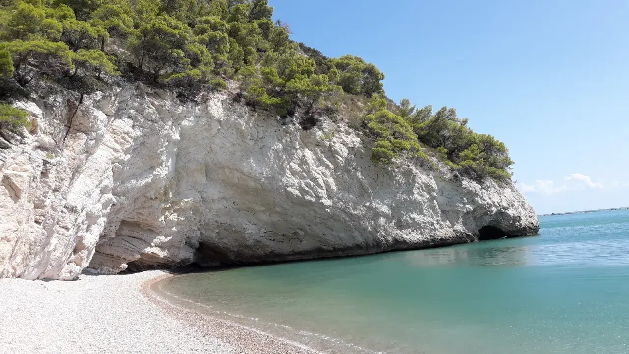 Spiaggia baia delle sirene Trani: scogliere bianche, mare cristallino e pini marittimi su un promontorio.