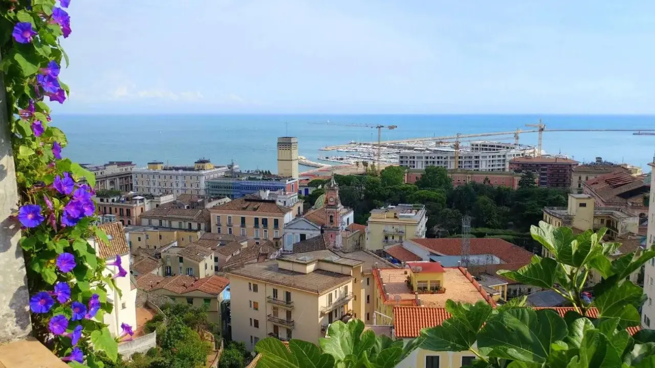 Panoramica di Salerno: cosa vedere a piedi. Fiori viola in primo piano, poi tetti rossi, edifici colorati, il porto e il mare azzurro.