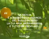 Sicilia bedda frasi: un'arancia su un ramo, circondata da foglie verdi. La citazione di Maupassant celebra la bellezza e il profumo della Sicilia in primavera.