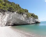 Spiaggia baia delle sirene Trani: scogliere bianche, mare cristallino e pini marittimi su un promontorio.