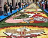 I camminanti di Noto ammirano un tappeto di fiori colorati che decora la strada, un'opera d'arte effimera.