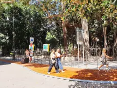 Passeggiata sotto i maestosi ficus di Palermo, Piazza Marina. Persone camminano su un nuovo percorso in legno, godendosi l'ombra degli alberi secolari.