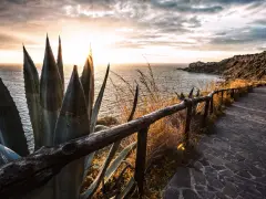 Sentiero panoramico con agave e mare al tramonto, vicino alla spiaggia del Tono a Milazzo.