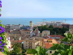 Panoramica di Salerno: cosa vedere a piedi. Fiori viola in primo piano, poi tetti rossi, edifici colorati, il porto e il mare azzurro.