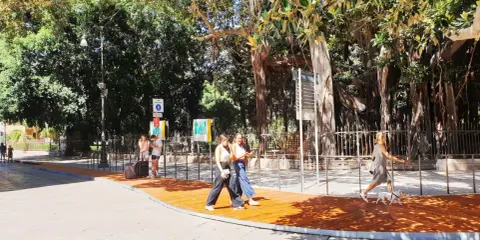 Passeggiata sotto i maestosi ficus di Palermo, Piazza Marina. Persone camminano su un nuovo percorso in legno, godendosi l'ombra degli alberi secolari.