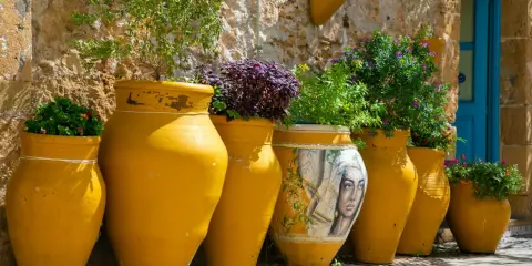 Vasi gialli decorati con un volto femminile e piante rigogliose, un angolo pittoresco da scoprire tra le cose da vedere a Bagheria.