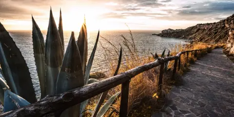Sentiero panoramico con agave e mare al tramonto, vicino alla spiaggia del Tono a Milazzo.