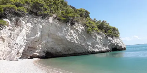 Spiaggia baia delle sirene Trani: scogliere bianche, mare cristallino e pini marittimi su un promontorio.