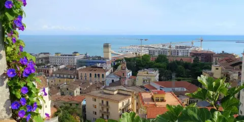 Panoramica di Salerno: cosa vedere a piedi. Fiori viola in primo piano, poi tetti rossi, edifici colorati, il porto e il mare azzurro.
