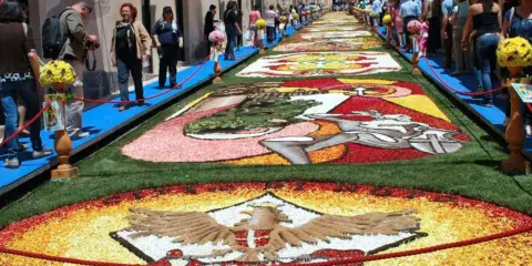 I camminanti di Noto ammirano un tappeto di fiori colorati che decora la strada, un'opera d'arte effimera.