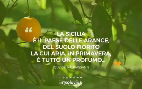 Sicilia bedda frasi: un'arancia su un ramo, circondata da foglie verdi. La citazione di Maupassant celebra la bellezza e il profumo della Sicilia in primavera.