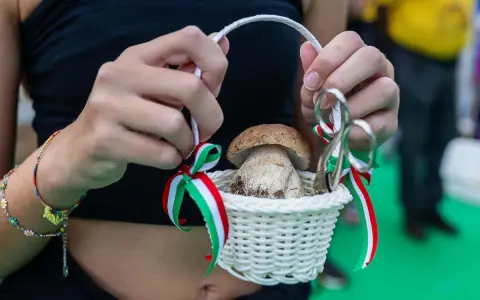 Cesto con fungo porcino decorato con nastri tricolore, simbolo di una sagra culinaria.