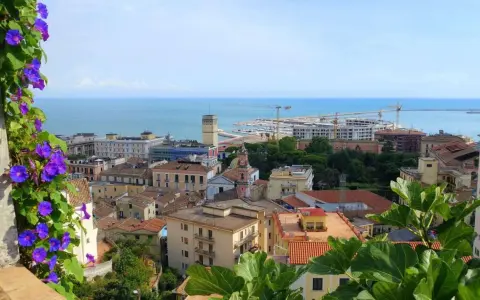 Panoramica di Salerno: cosa vedere a piedi. Fiori viola in primo piano, poi tetti rossi, edifici colorati, il porto e il mare azzurro.
