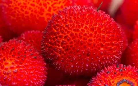 Corbezzolo in siciliano: frutti rossi e spinosi, un tesoro della natura siciliana, pronti per essere gustati.