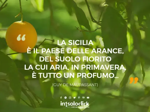Sicilia bedda frasi: un'arancia su un ramo, circondata da foglie verdi. La citazione di Maupassant celebra la bellezza e il profumo della Sicilia in primavera.