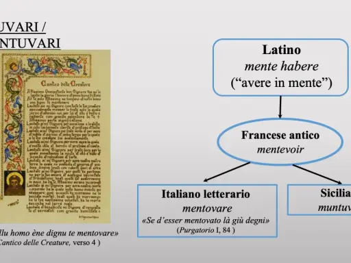 Il Cantico delle Creature di San Francesco, con la frase "Et nullu homo ène dignu te mentovare", mostra l'evoluzione del verbo "mentovare" dal latino al siciliano, passando per il francese antico e l'italiano letterario.
