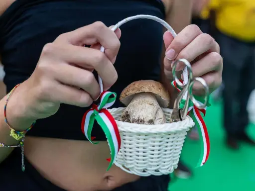 Cesto con fungo porcino decorato con nastri tricolore, simbolo di una sagra culinaria.
