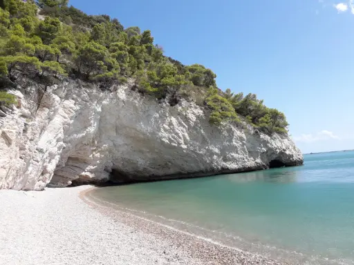 Spiaggia baia delle sirene Trani: scogliere bianche, mare cristallino e pini marittimi su un promontorio.