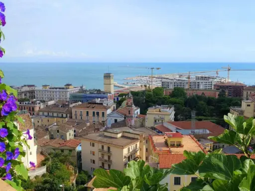 Panoramica di Salerno: cosa vedere a piedi. Fiori viola in primo piano, poi tetti rossi, edifici colorati, il porto e il mare azzurro.