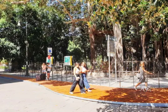 Passeggiata sotto i maestosi ficus di Palermo, Piazza Marina. Persone camminano su un nuovo percorso in legno, godendosi l'ombra degli alberi secolari.