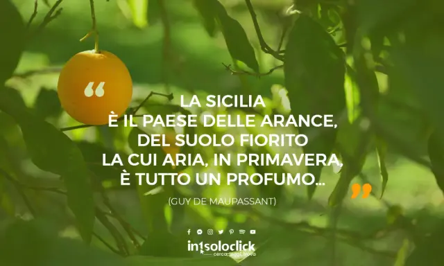Sicilia bedda frasi: un'arancia su un ramo, circondata da foglie verdi. La citazione di Maupassant celebra la bellezza e il profumo della Sicilia in primavera.