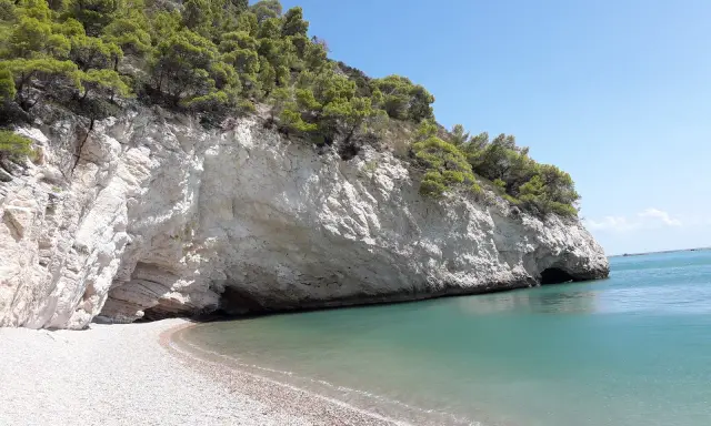 Spiaggia baia delle sirene Trani: scogliere bianche, mare cristallino e pini marittimi su un promontorio.