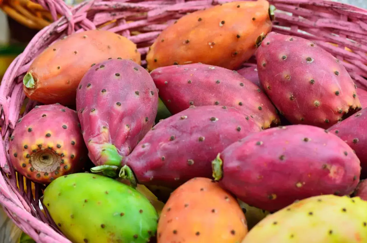 Cesto rosa pieno di una variet&agrave; di fichi siciliani: rossi, arancioni, verdi e gialli, con spine scure.