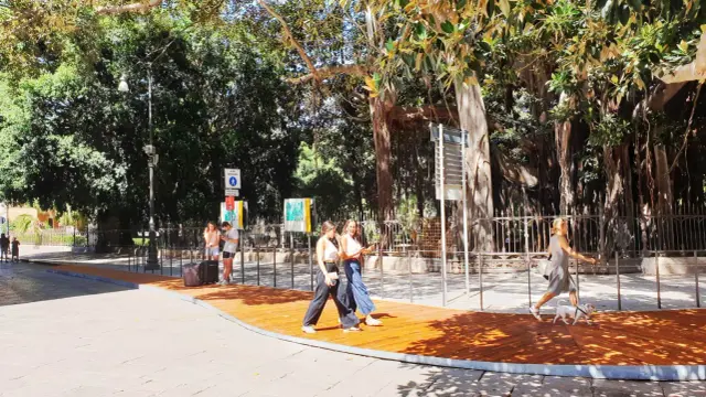 Passeggiata sotto i maestosi ficus di Palermo, Piazza Marina. Persone camminano su un nuovo percorso in legno, godendosi l'ombra degli alberi secolari.